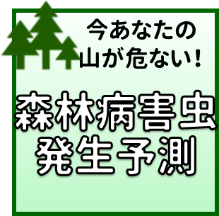 林業研メニュー2