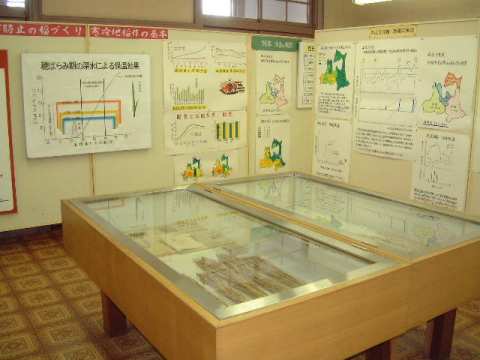 冷害研究資料館の第二展示室の画像