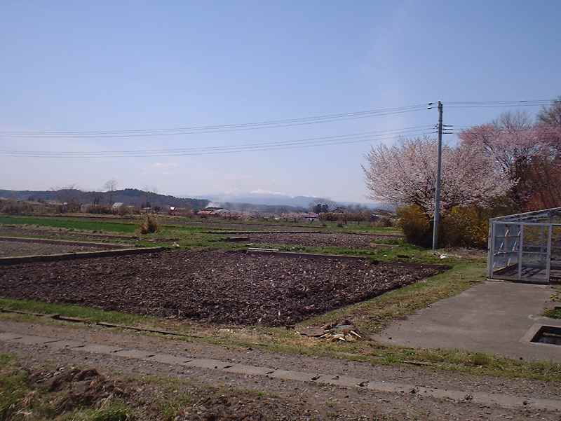 春の圃場の画像