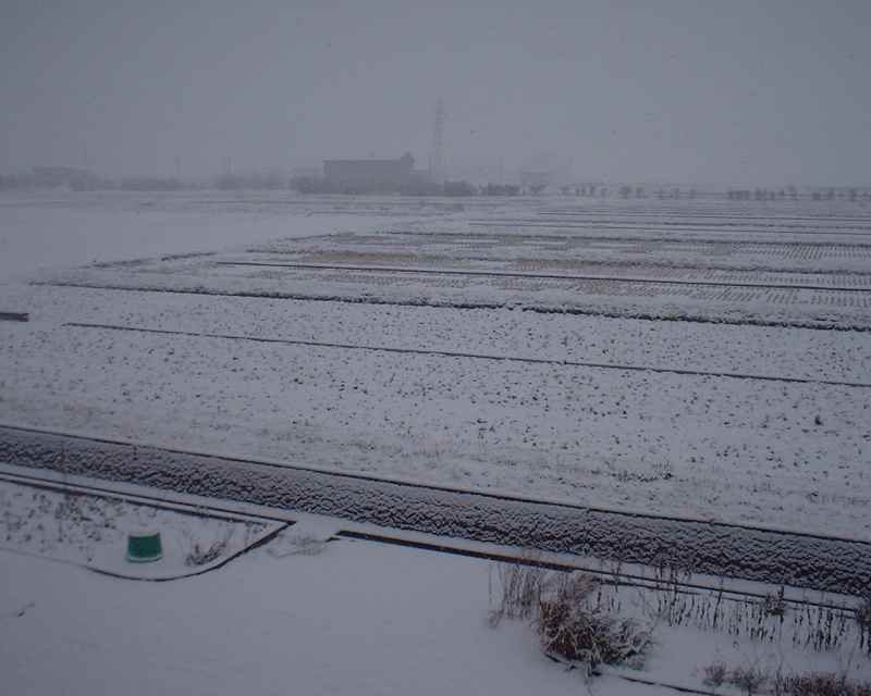 初雪時の圃場の画像