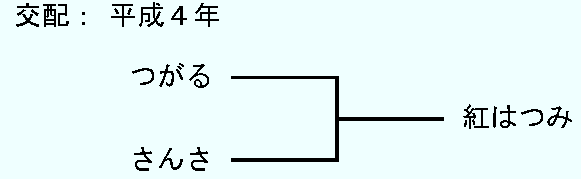 「あおり26」の来歴