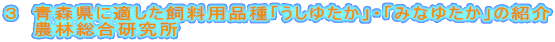 ３　青森県に適した飼料用品種「うしゆたか」・「みなゆたか」の紹介　　農林総合研究所