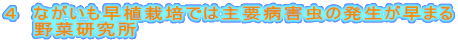 ４　ながいも早植栽培では主要病害虫の発生が早まる　　野菜研究所