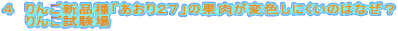 ４　りんご新品種「あおり２７」の果肉が変色しにくいのはなぜ？　　りんご試験場