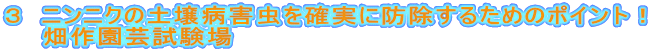 ３　ニンニクの土壌病害虫を確実に防除するためのポイント！
　　畑作園芸試験場