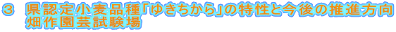 ３　県認定小麦品種「ゆきちから」の特性と今後の推進方向
　　畑作園芸試験場