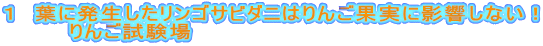 １　葉に発生したリンゴサビダニはりんご果実に影響しない！
りんご試験場