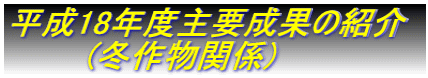 平成18年度主要成果の紹介  　　　(冬作物関係)