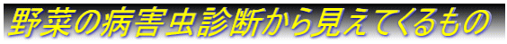 野菜の病害虫診断から見えてくるもの