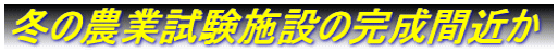 冬の農業試験施設の完成間近か