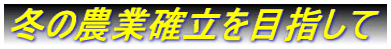 冬の農業確立を目指して