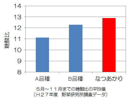 なつあかり12.4、A品種11.1、B品種12.3