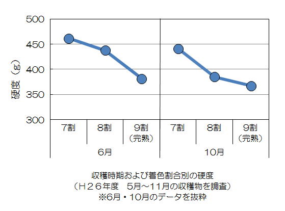 6月9割（完熟）時382g、8割時438g、7割時461g、10月9割（完熟）時367g、8割時385g、7割時441g