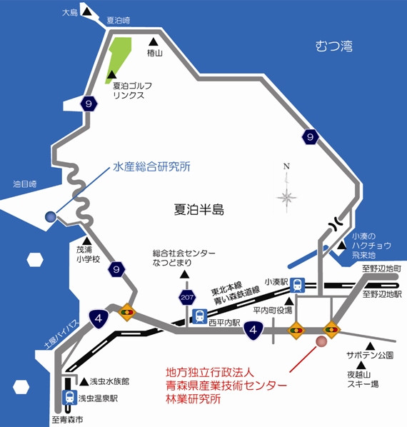 夏泊半島での、当研究所の位置を示した地図です。住所は地図の前に記載しています。