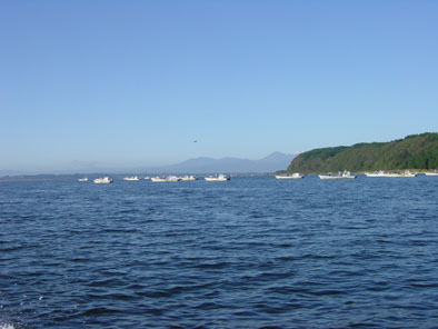 小川原湖のシジミ操業風景