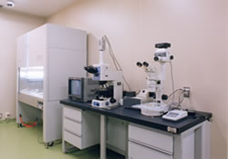 微生物検査室