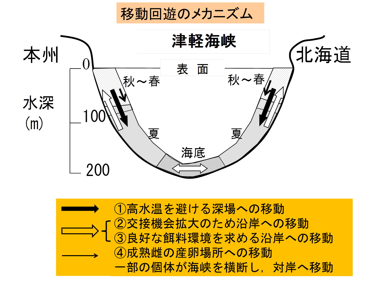 移動回遊のメカニズム