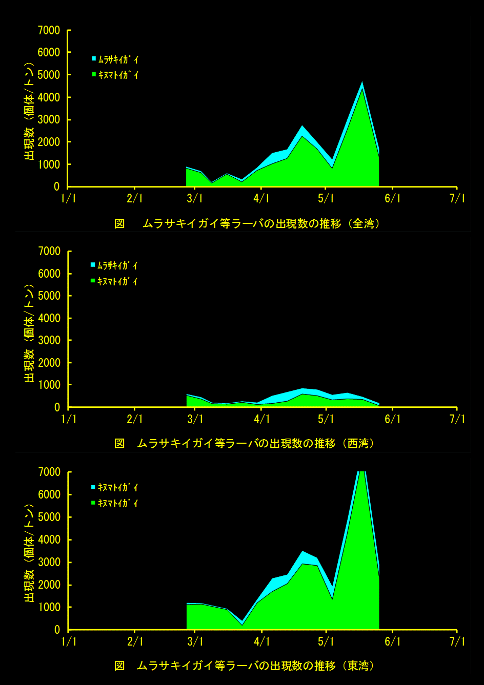 ムラサキイガイラーバ等の出現数の推移