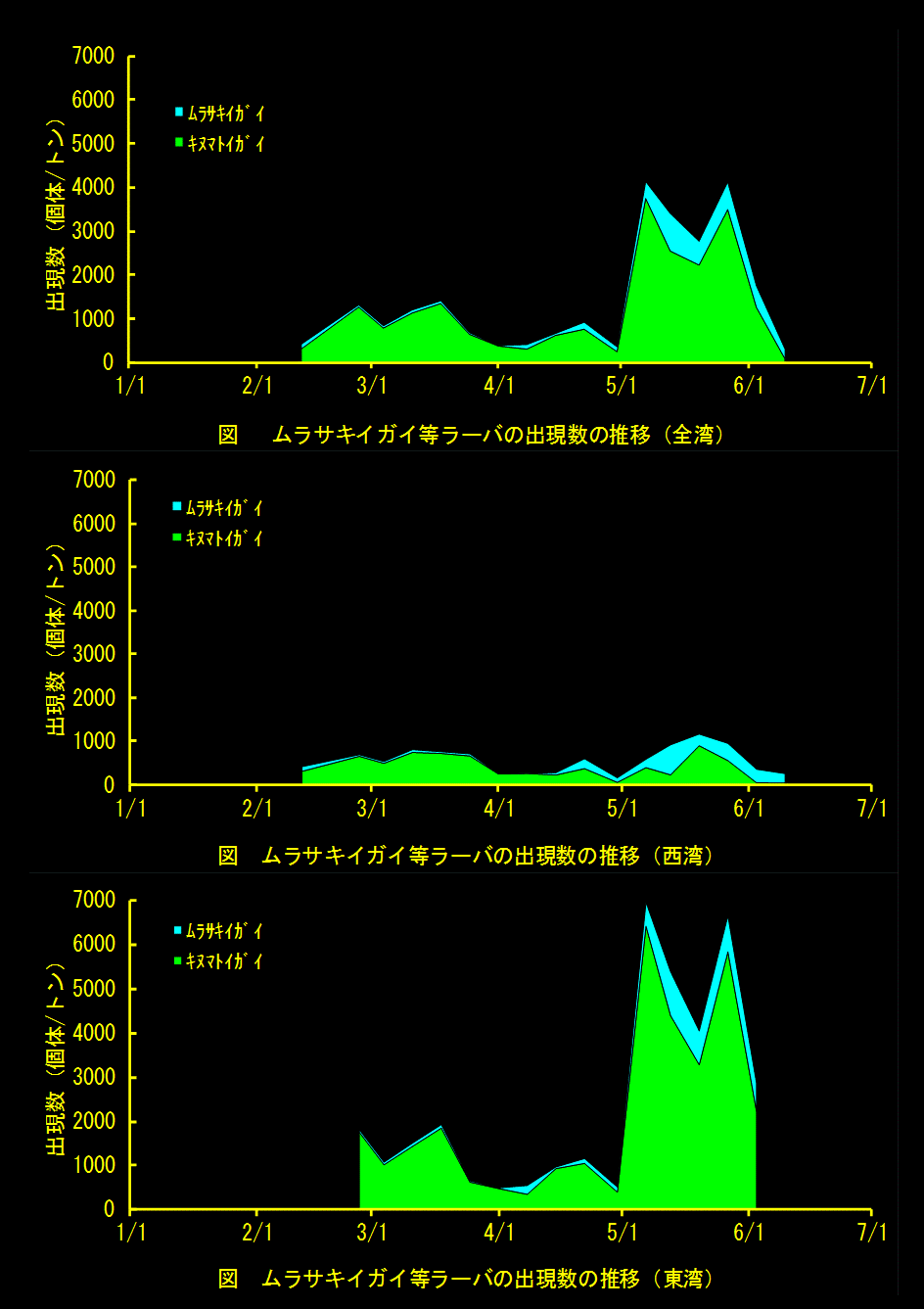 ムラサキイガイラーバ等の出現数の推移