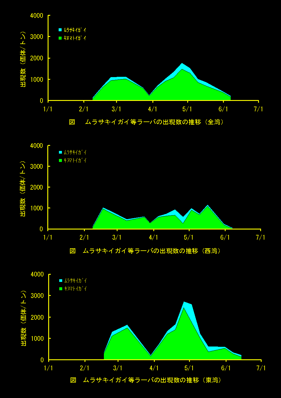 ムラサキイガイラーバ等の出現数の推移