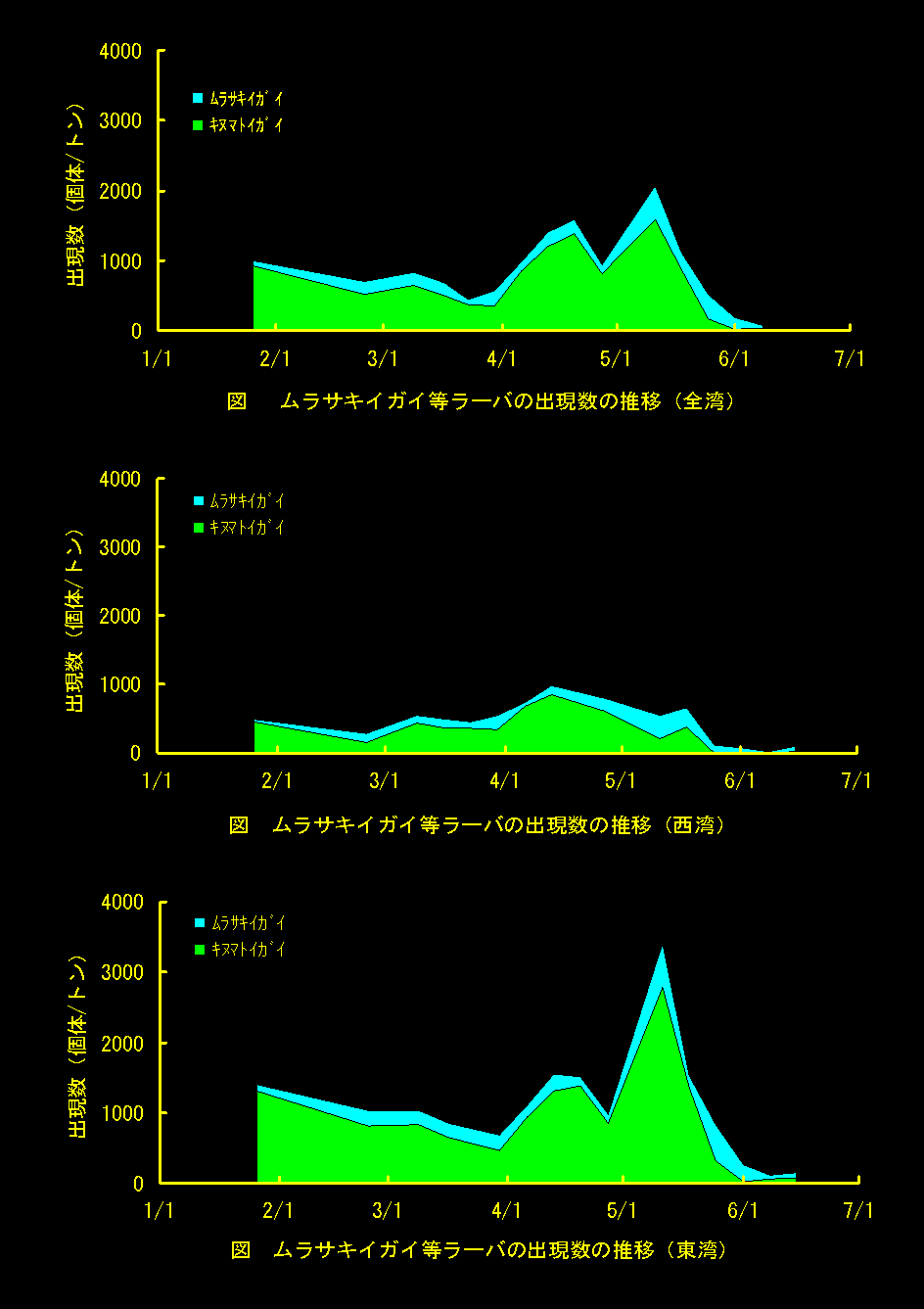 ムラサキイガイラーバ等の出現数の推移