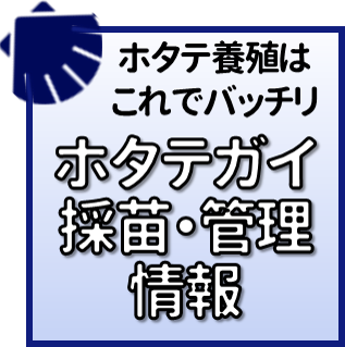 ホタテガイ採苗・管理情報