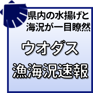 ウオダス漁海況速報