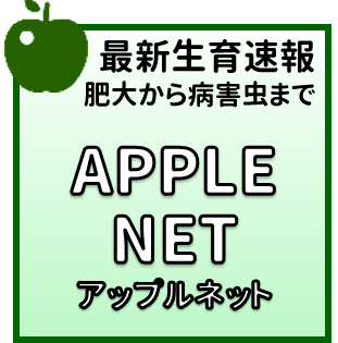 りんご研メニュー1