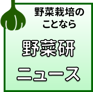野菜研ニュースへ