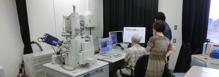走査型電子顕微鏡観察