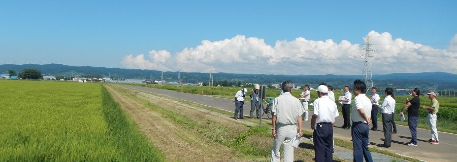 ３ｈａ区画・Ｖ溝乾田直播試験ほ場　農業普及振興室との意見交換