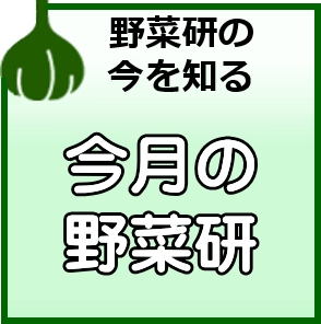 野菜研バナー3.png