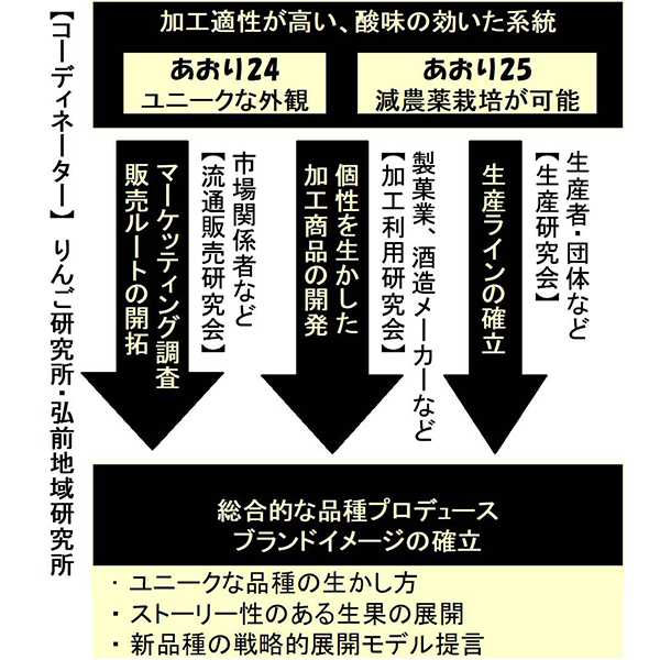 あおり24生産・利用研究会のスキーム図