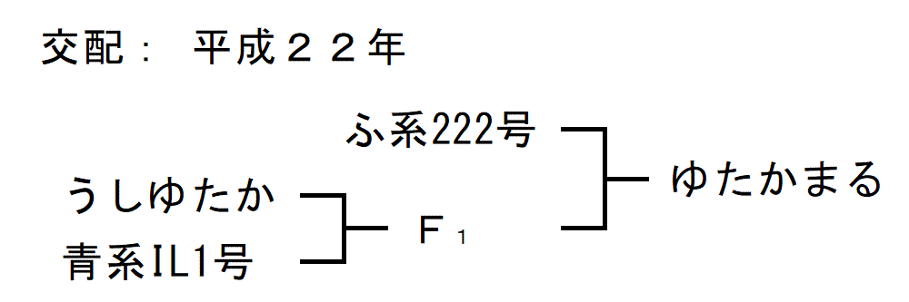 「ゆたかまる」の来歴