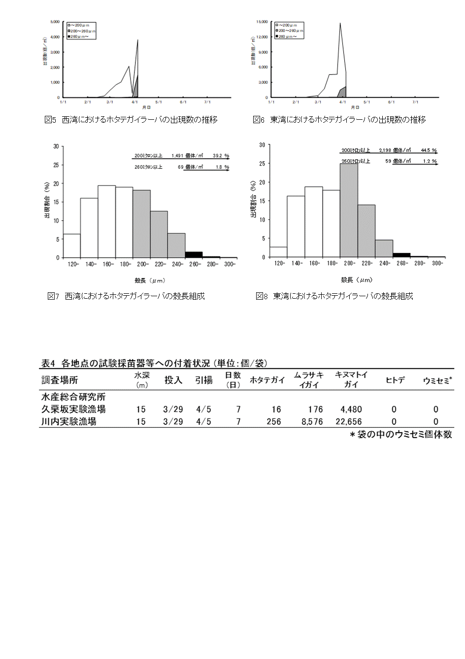 採苗速報第1号3