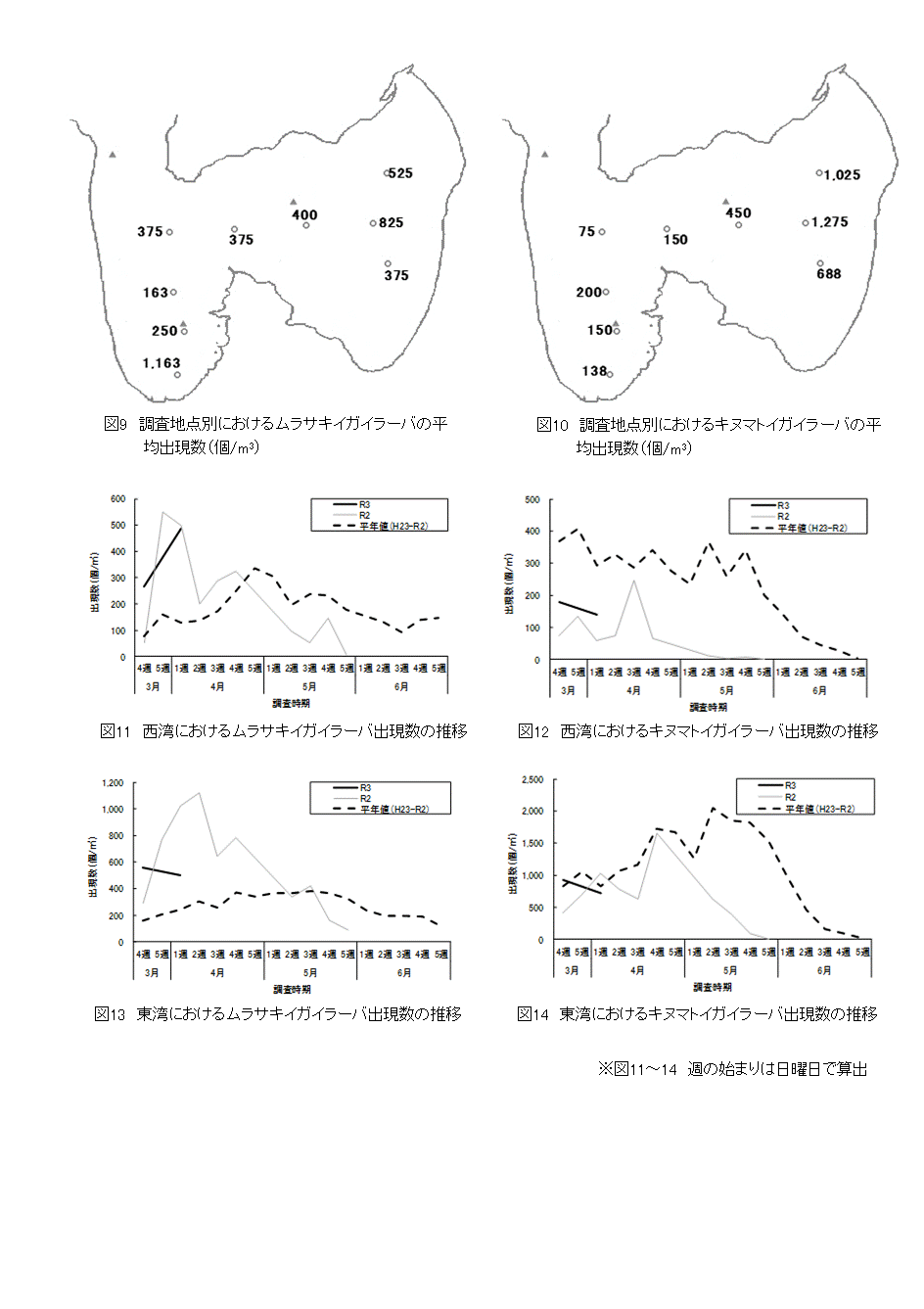 採苗速報第1号4