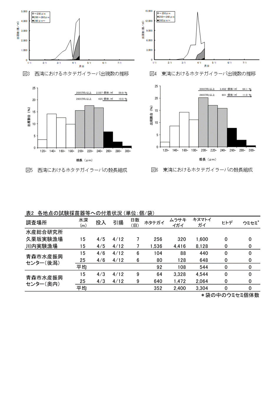 採苗速報第2号2