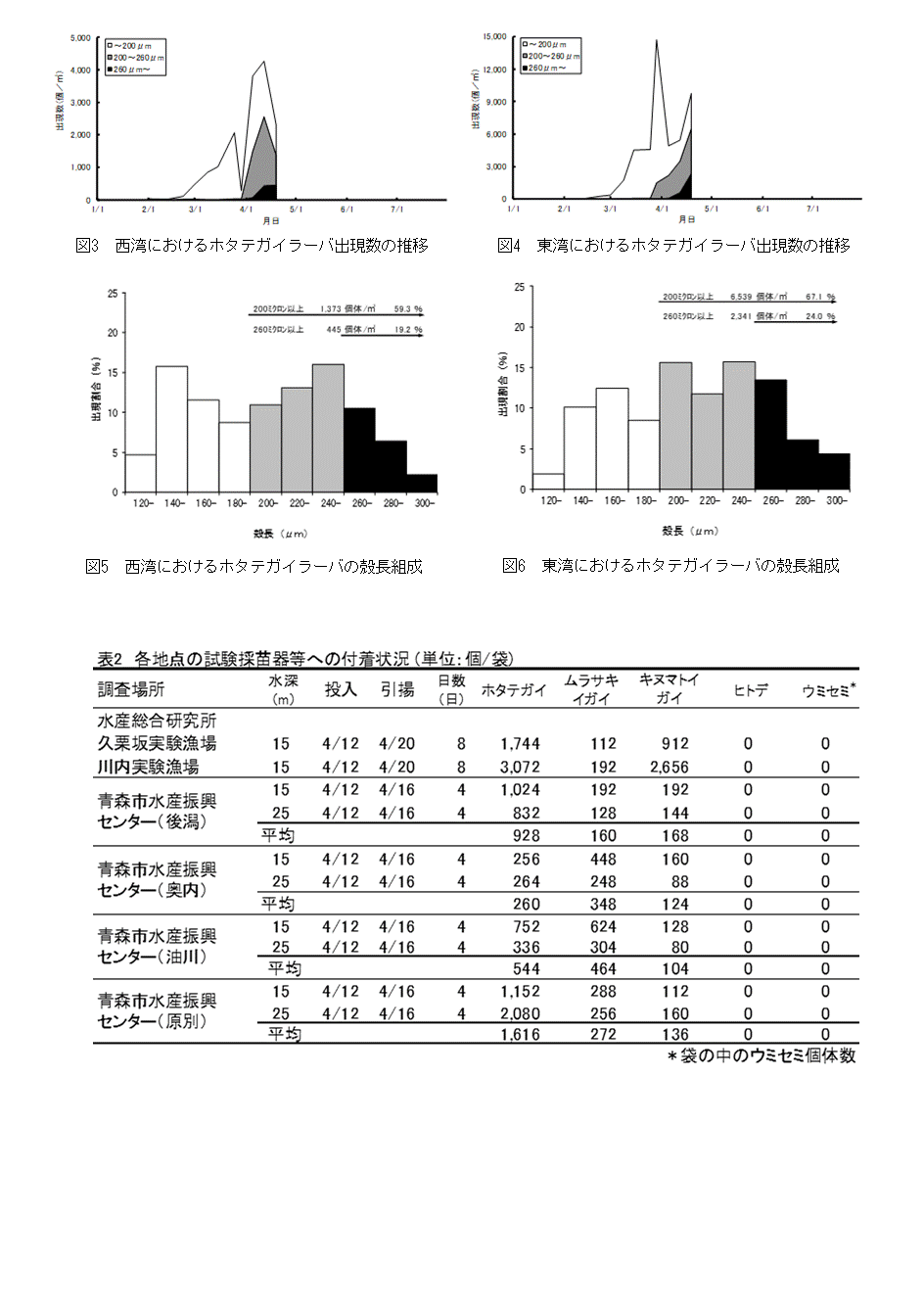 採苗速報第3号2