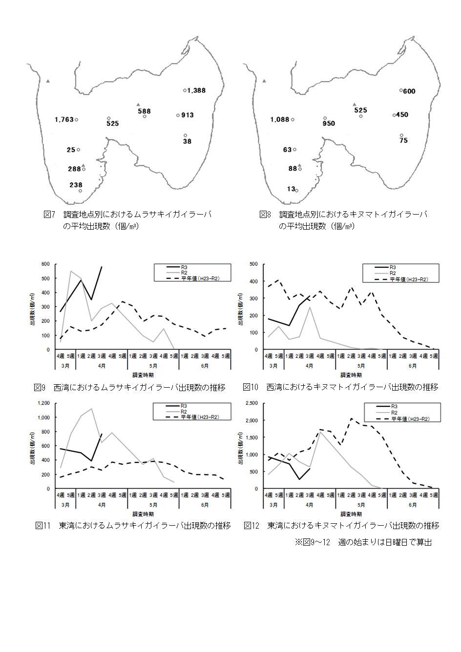 採苗速報第3号3