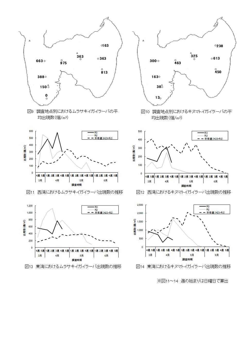 採苗速報第4号4