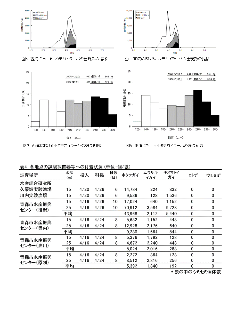 採苗速報第4号3