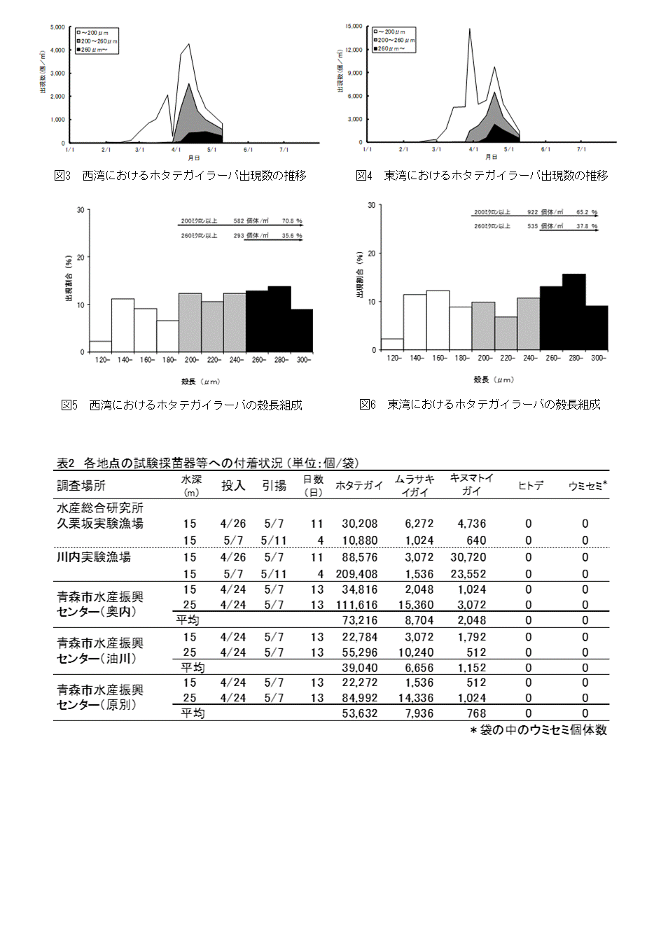 採苗速報第5号2