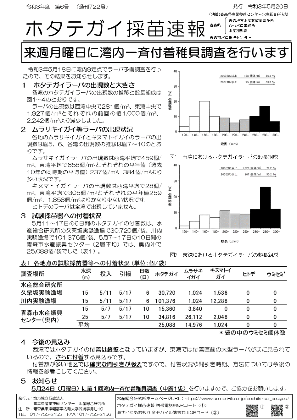 採苗速報第6号1