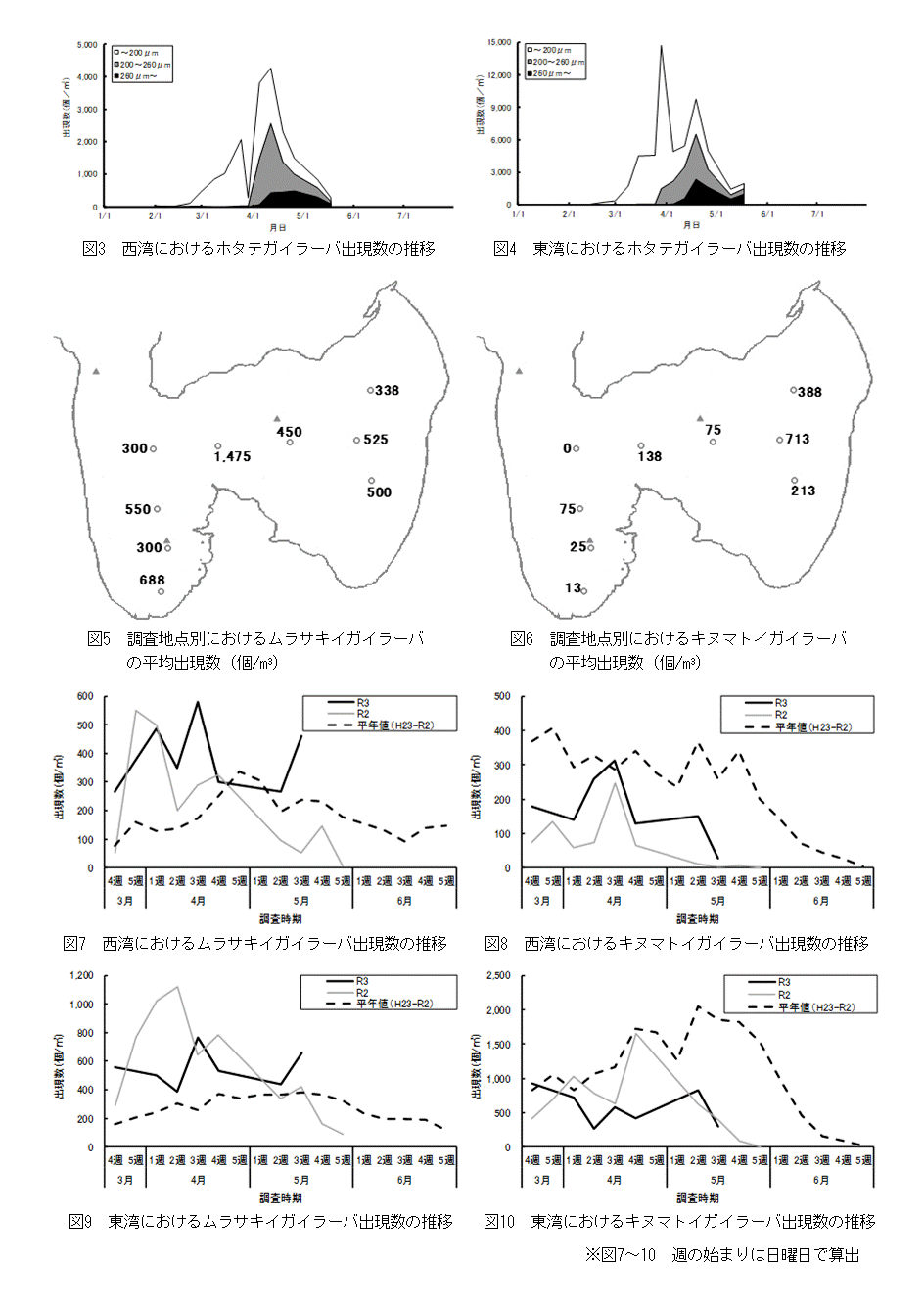 採苗速報第6号2