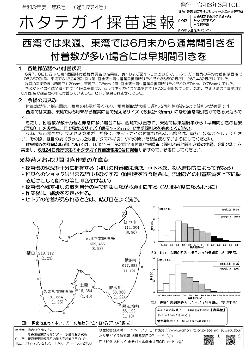 採苗速報第8号1