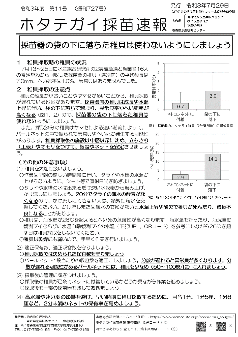 採苗速報第11号