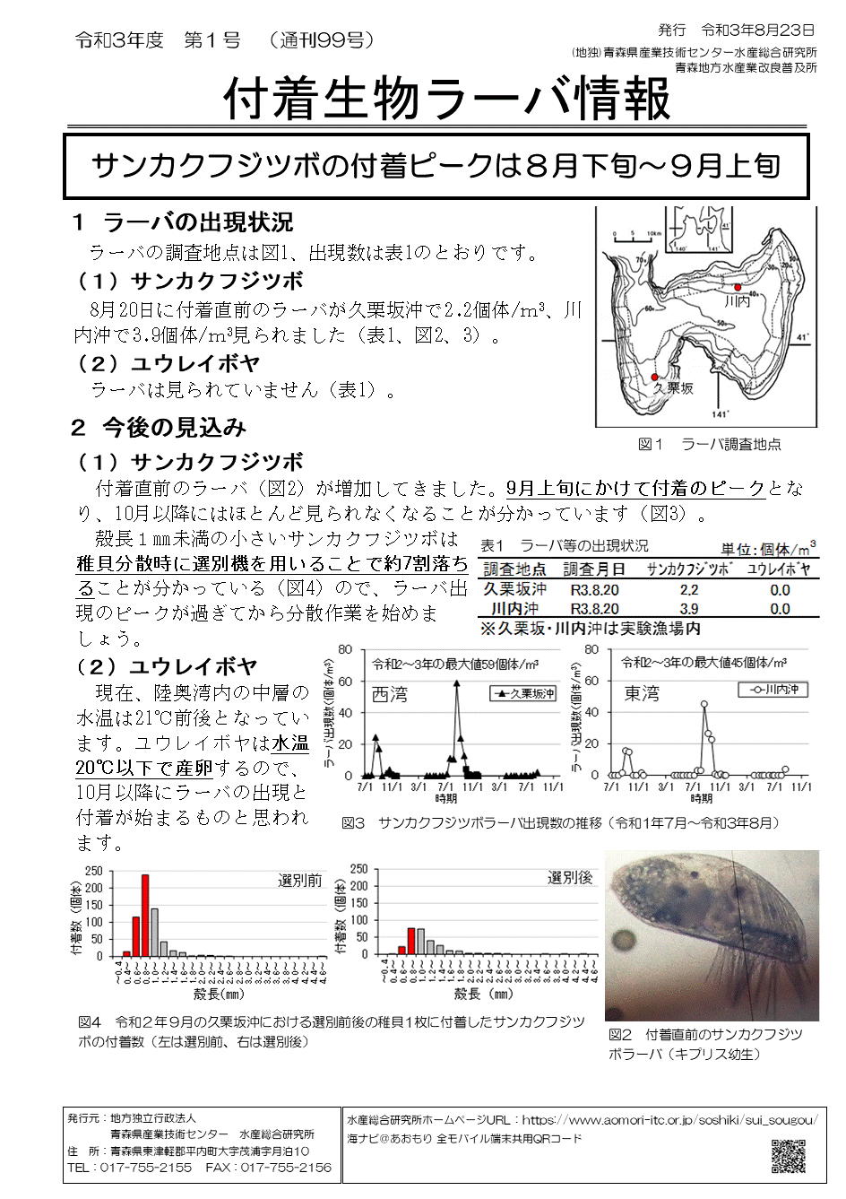 付着生物ラーバ情報第1号