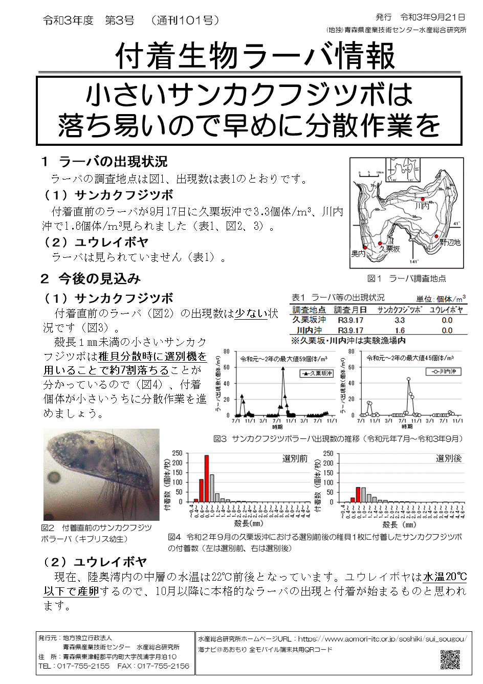 付着生物ラーバ情報 地方独立行政法人 青森県産業技術センター