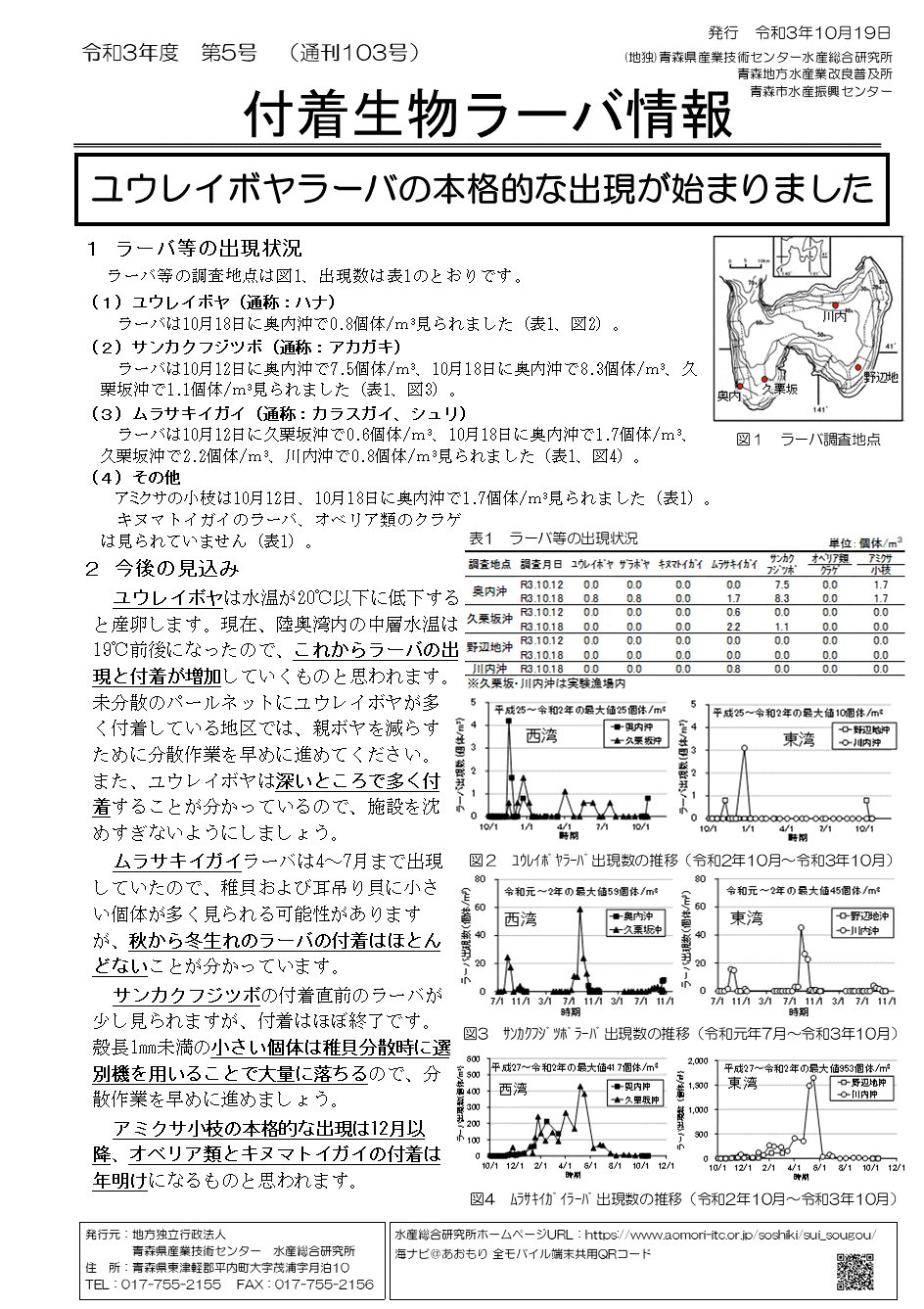 付着物ラーバ情報第5号