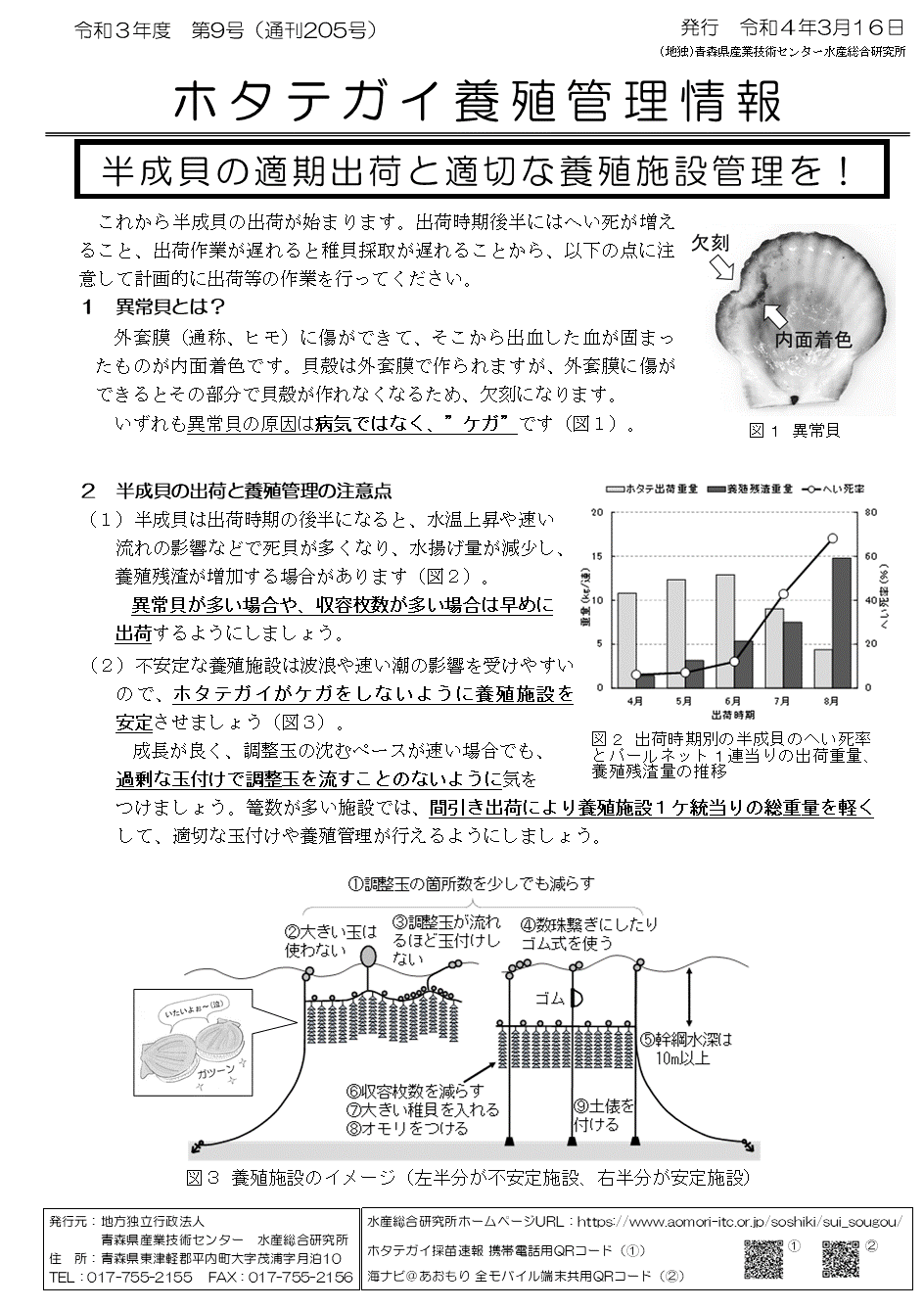 管理情報第9号